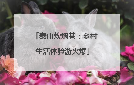 泰山炊烟巷：乡村生活体验游火爆